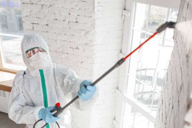 Best Dehumidification Services  in Reliez Valley, CA