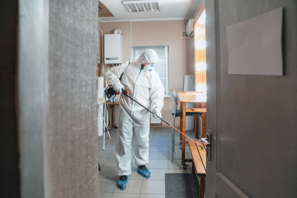 Best Post-Remediation Verification Testing  in Reliez Valley, CA